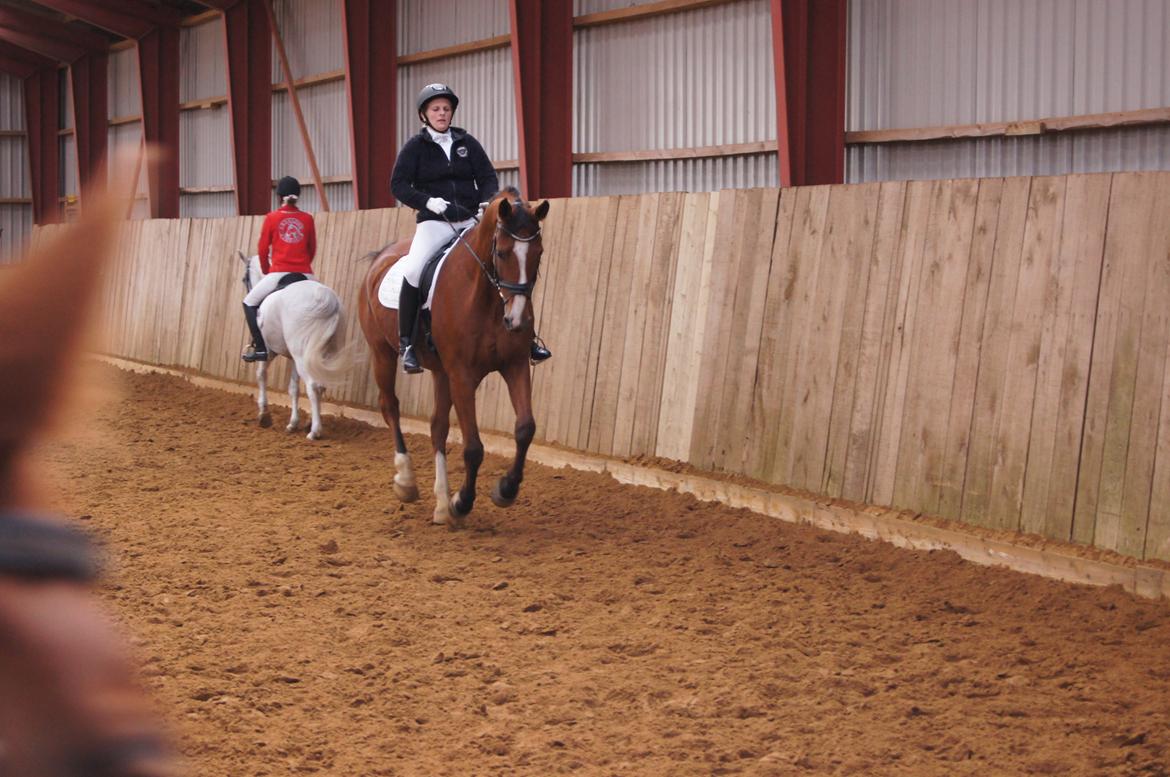 Stævne i Helle Rideklub 15-16 september. billede 6