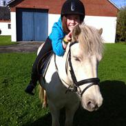 Min smukke islænder Lysa  <3<3