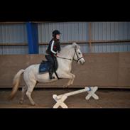 Min smukke islænder Lysa  <3<3