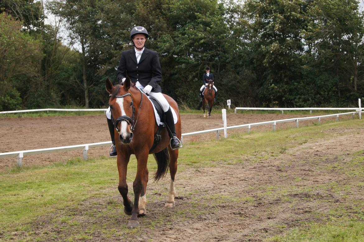 Stævne i Helle Rideklub 15-16 september. billede 9