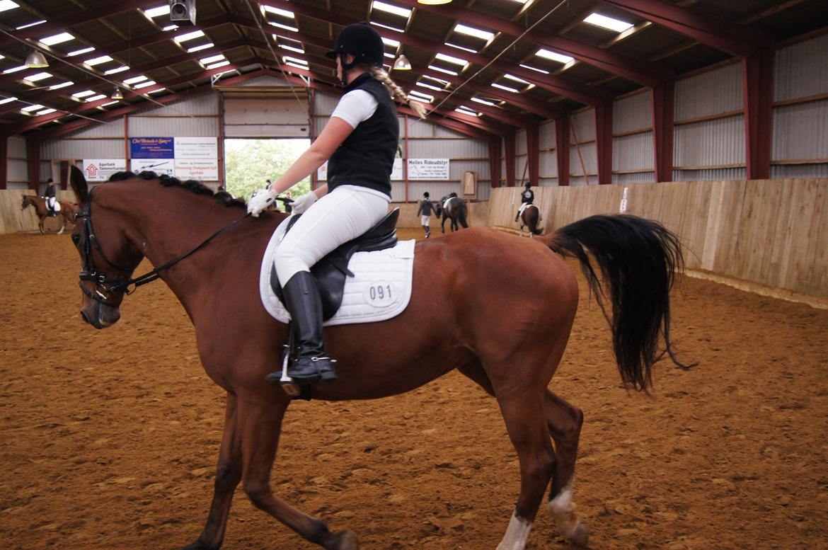 Stævne i Helle Rideklub 15-16 september. billede 14