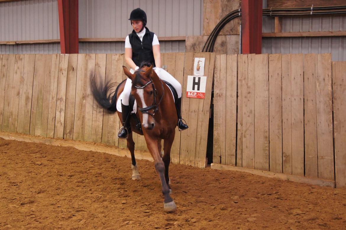 Stævne i Helle Rideklub 15-16 september. billede 15