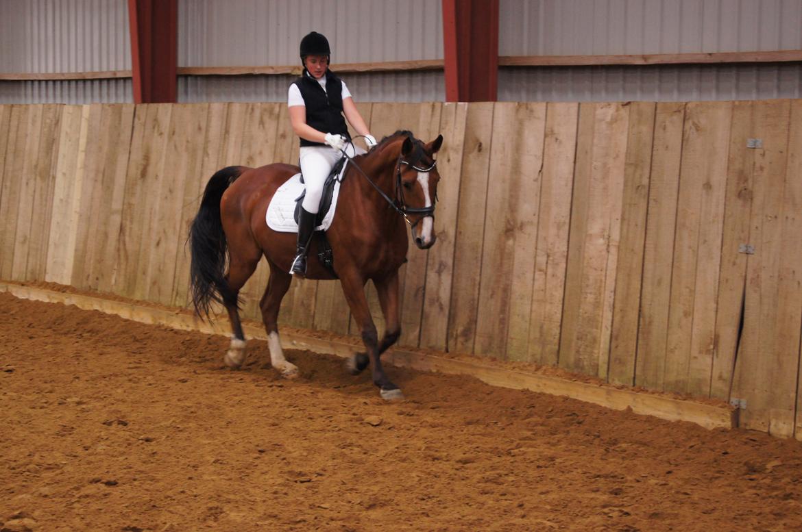 Stævne i Helle Rideklub 15-16 september. billede 20