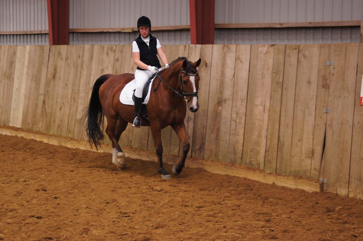 Stævne i Helle Rideklub 15-16 september. billede 21