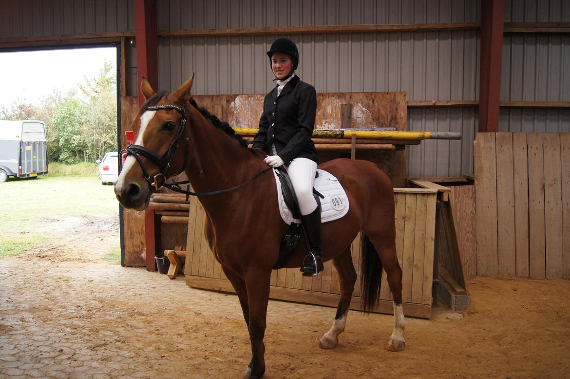 Stævne i Helle Rideklub 15-16 september. billede 23