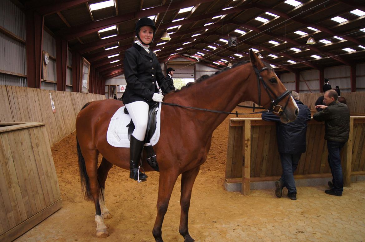 Stævne i Helle Rideklub 15-16 september. billede 24