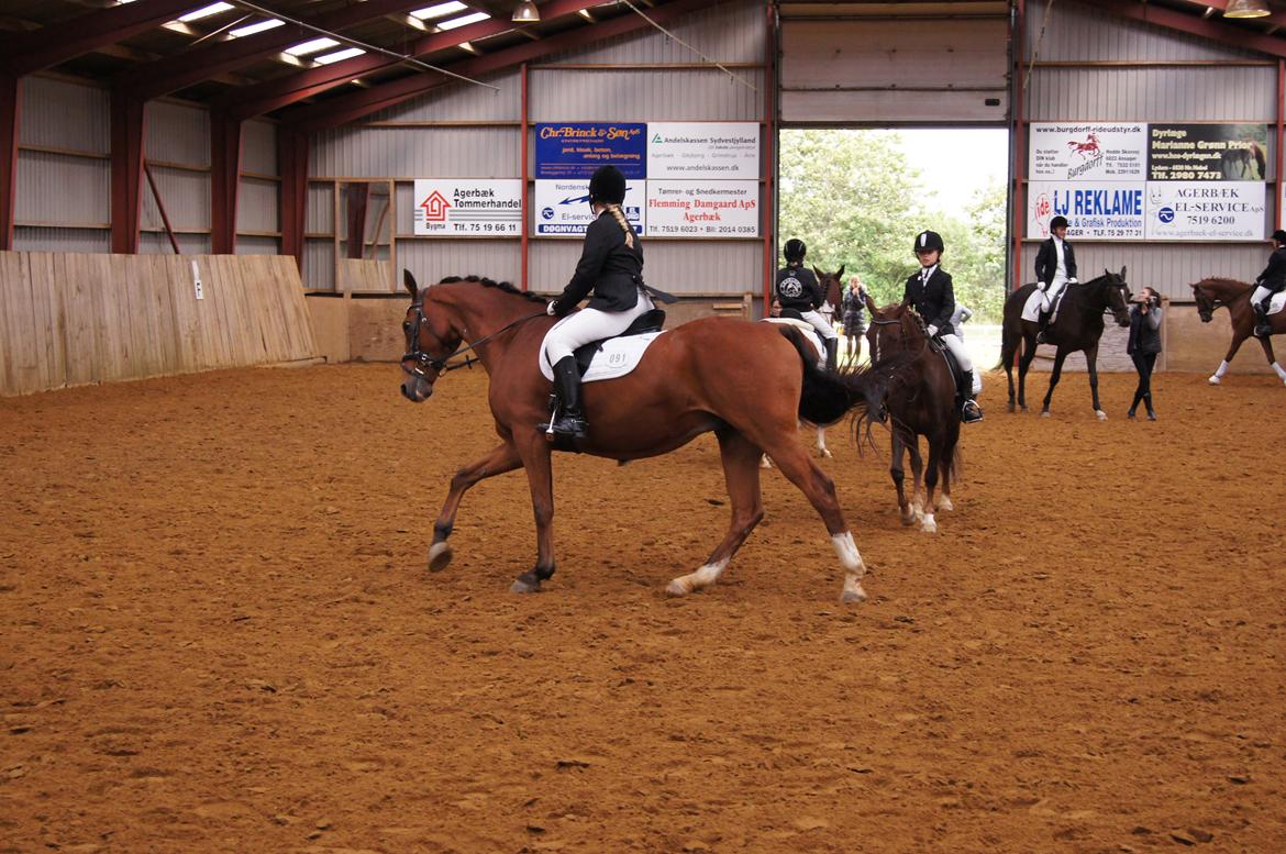 Stævne i Helle Rideklub 15-16 september. billede 27