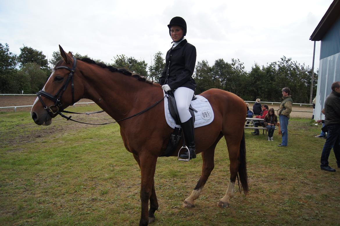Stævne i Helle Rideklub 15-16 september. billede 28