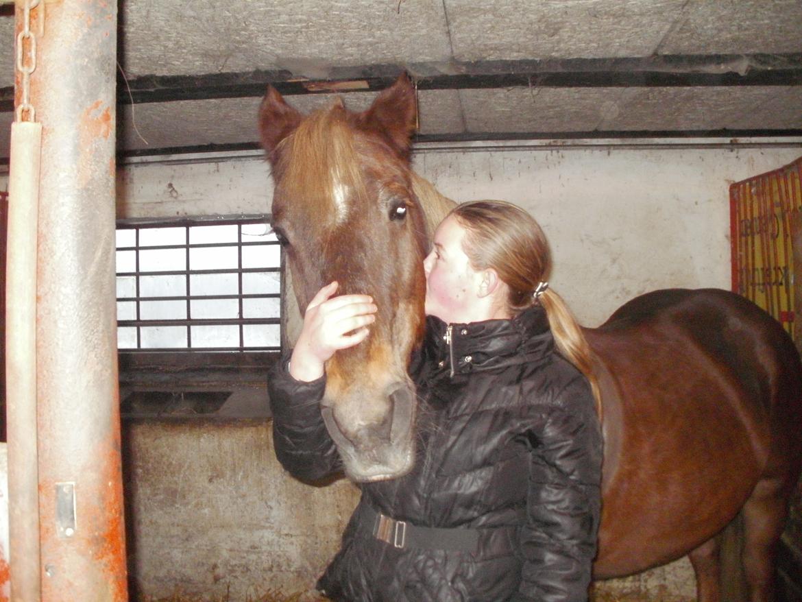 Fredericia Rideklub  - Logan & hans ejer ;-)  billede 9