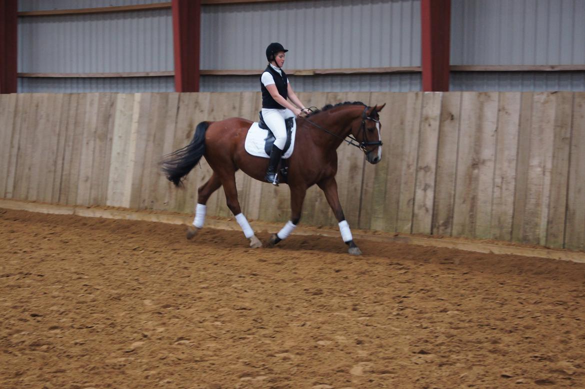 Stævne i Helle Rideklub 15-16 september. billede 29