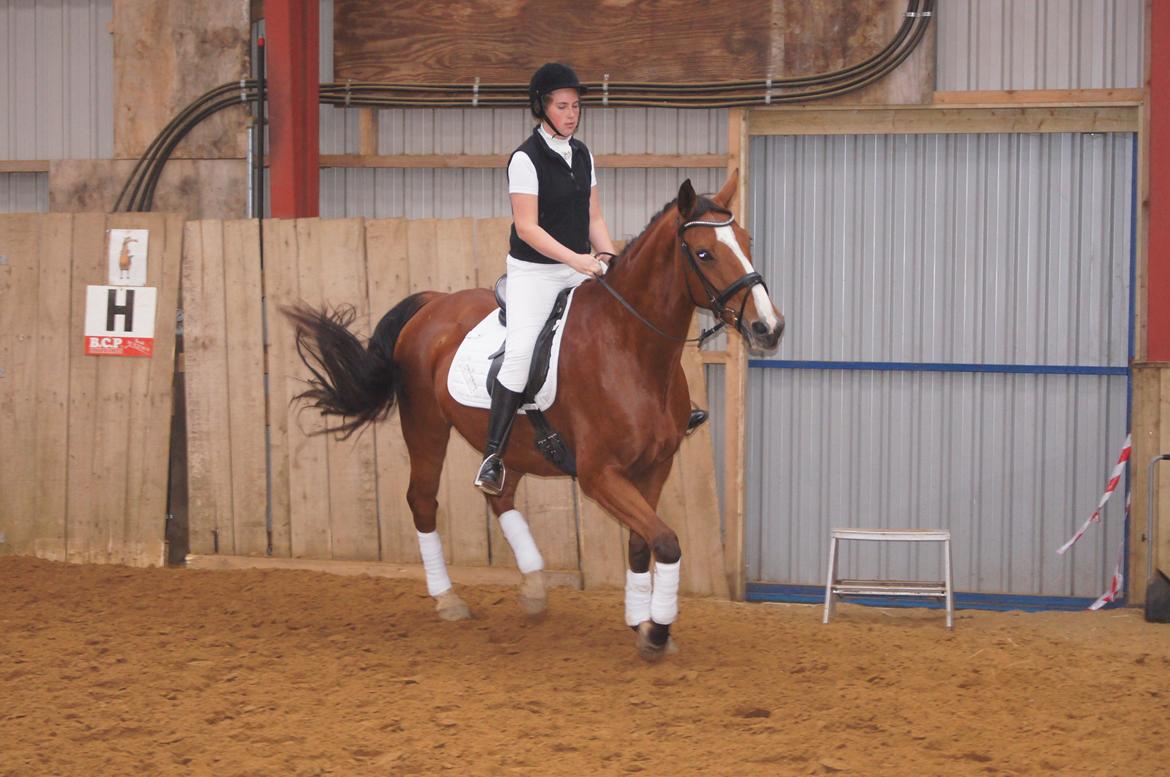 Stævne i Helle Rideklub 15-16 september. billede 30