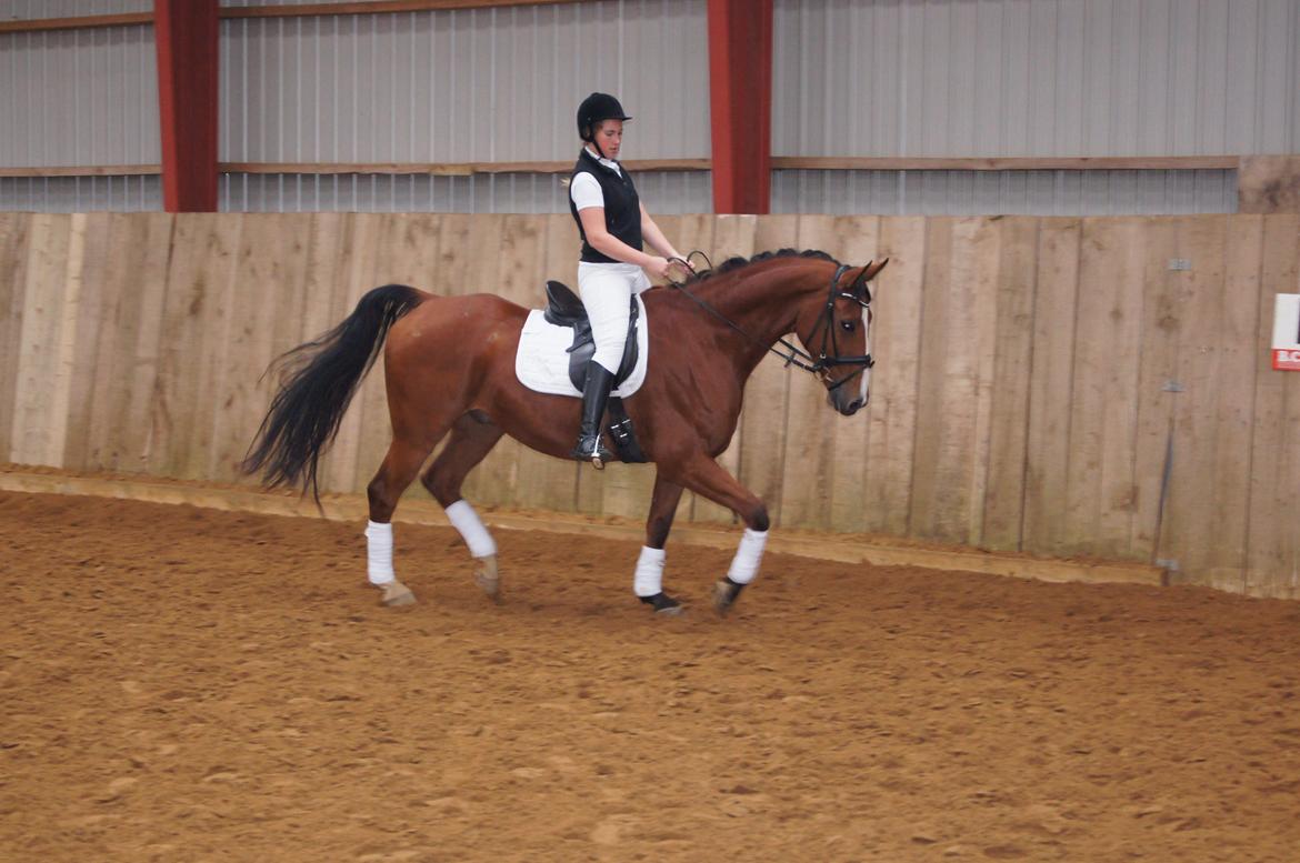 Stævne i Helle Rideklub 15-16 september. billede 31