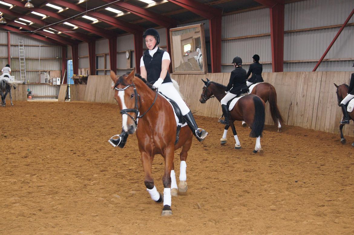 Stævne i Helle Rideklub 15-16 september. billede 32