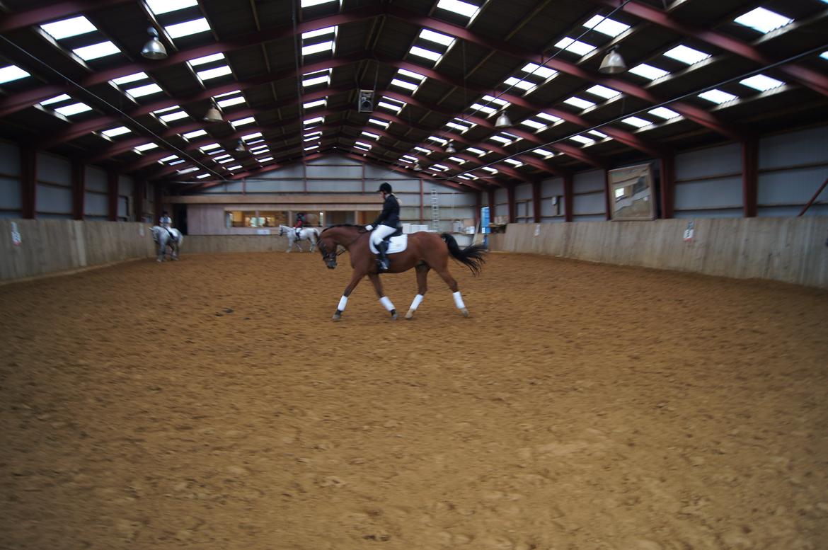 Stævne i Helle Rideklub 15-16 september. billede 34