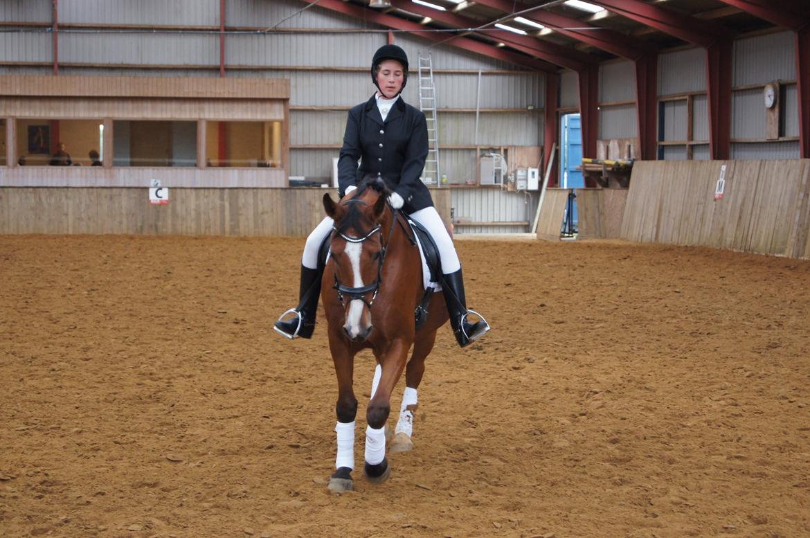 Stævne i Helle Rideklub 15-16 september. billede 36