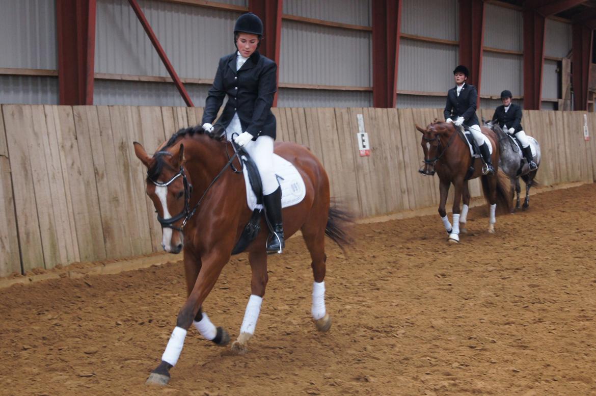 Stævne i Helle Rideklub 15-16 september. billede 37