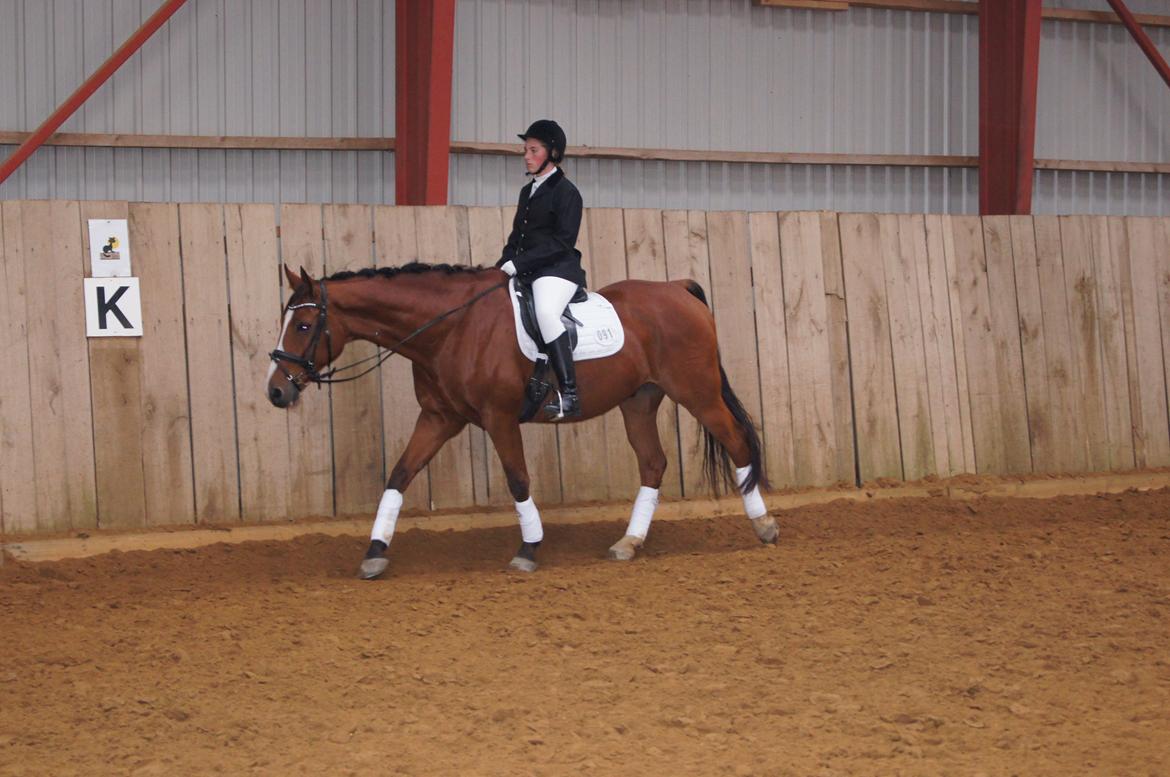 Stævne i Helle Rideklub 15-16 september. billede 38