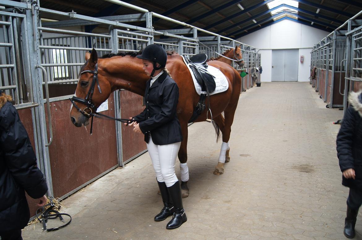 Stævne i Helle Rideklub 15-16 september. billede 39