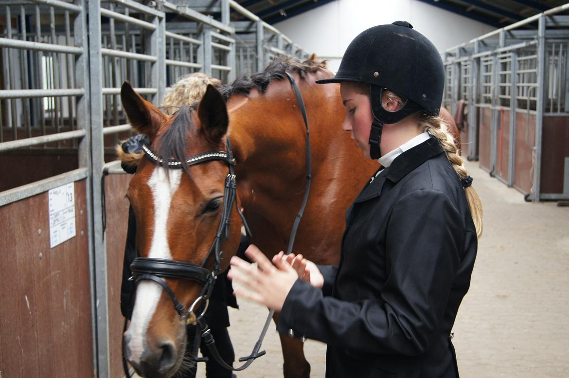Stævne i Helle Rideklub 15-16 september. billede 41
