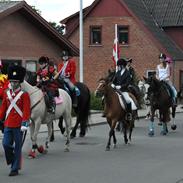 Ringridning i Løsning