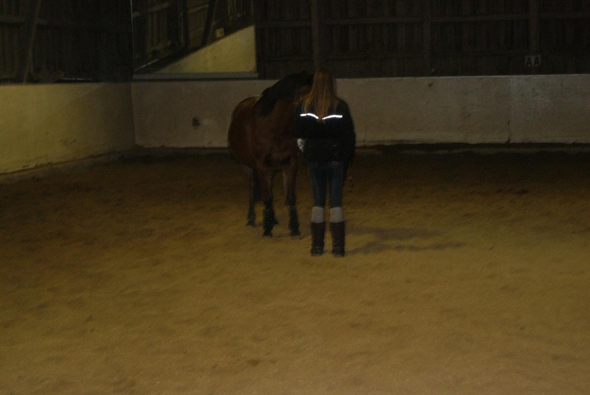 Løsspring på Stevnsbogård D.22/12-2012 - Webum billede 2