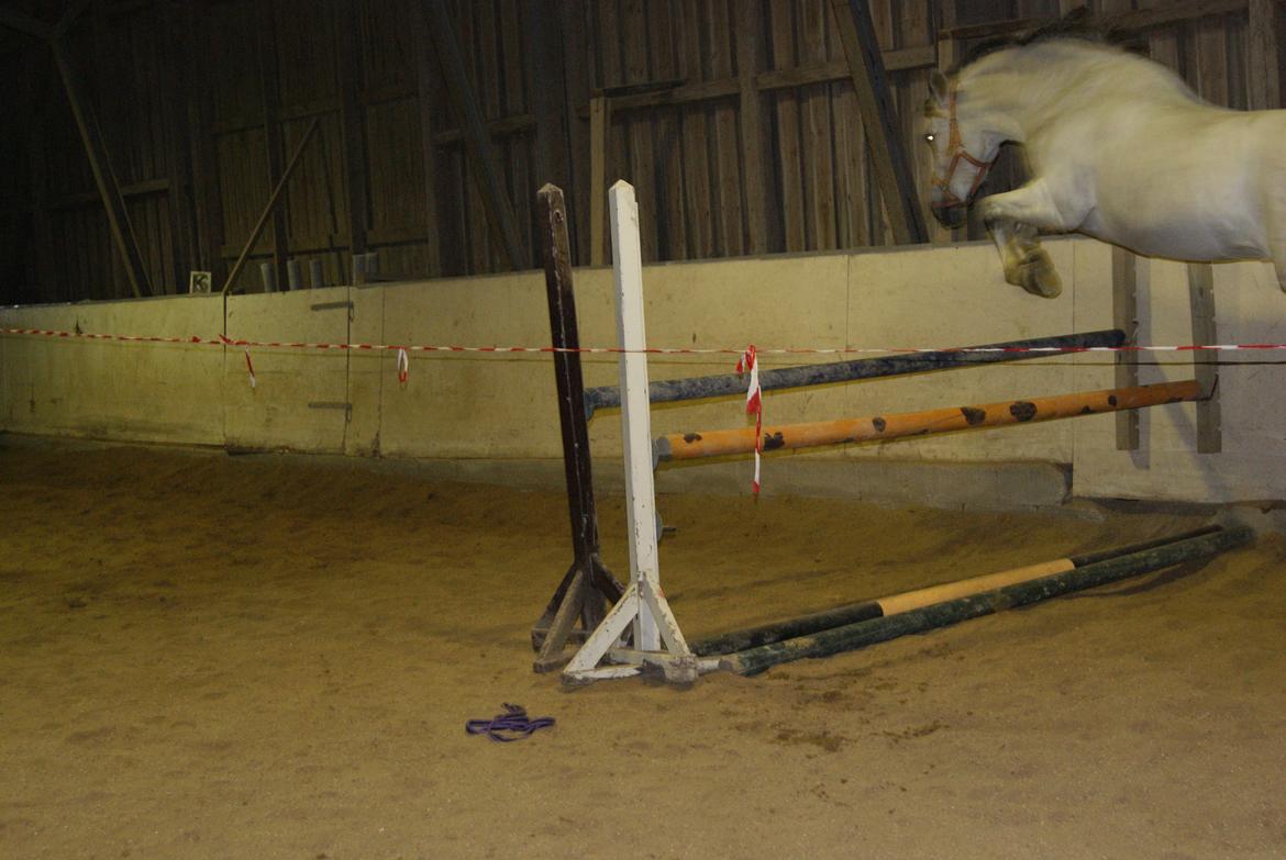 Løsspring på Stevnsbogård D.22/12-2012 billede 61