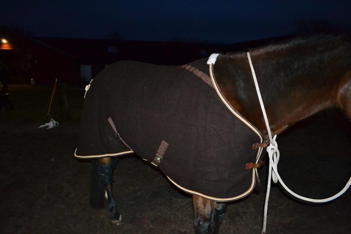 Vores billedebog. - Nyt ulddækken, da det andet blev ødelagt <3 billede 70