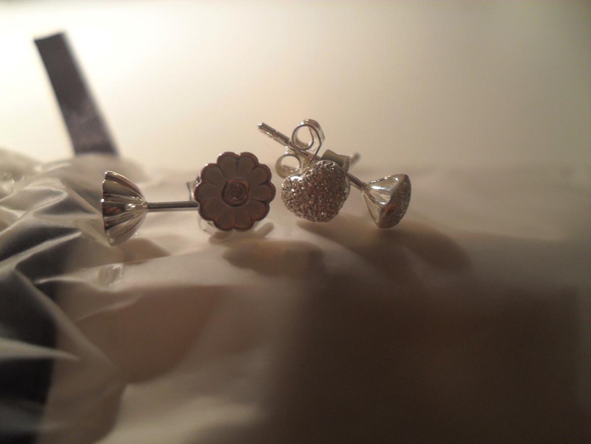 Mine julegaver 2012!  - Super søde øreringe fra min kærestes onkel og tante :) billede 5