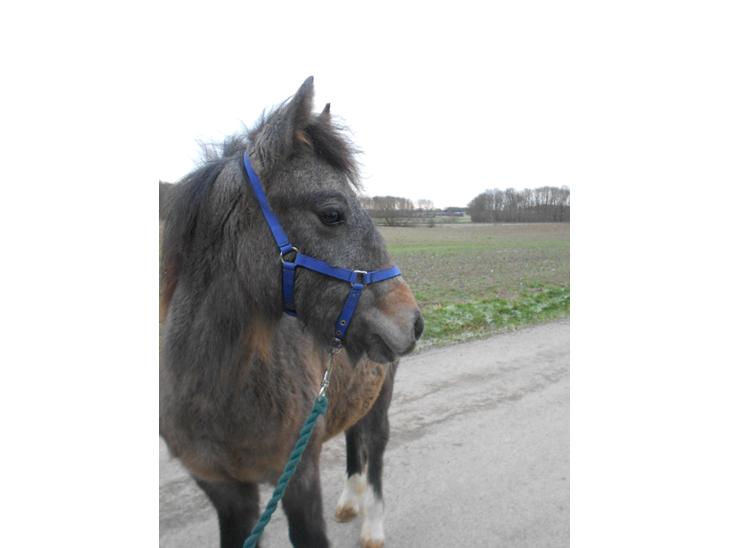 {{currentPhoto.altText}} billede {{currentPhoto.number}}