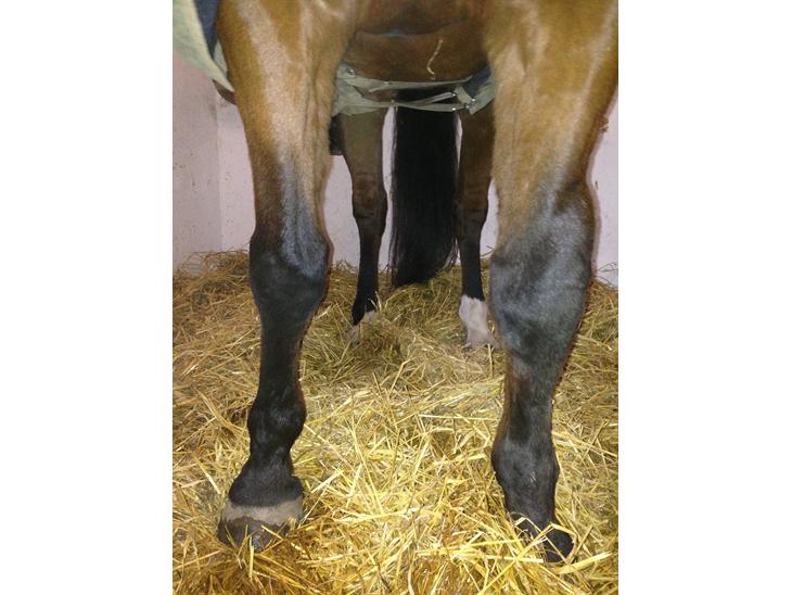 {{currentPhoto.altText}} billede {{currentPhoto.number}}