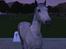 Sims 3 AvlsProtjekt - WildOne Griner