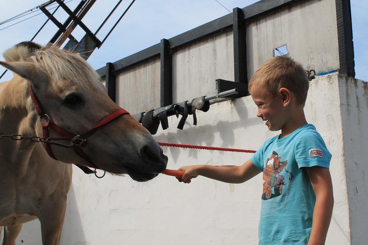 Billeder af personer  billede 4