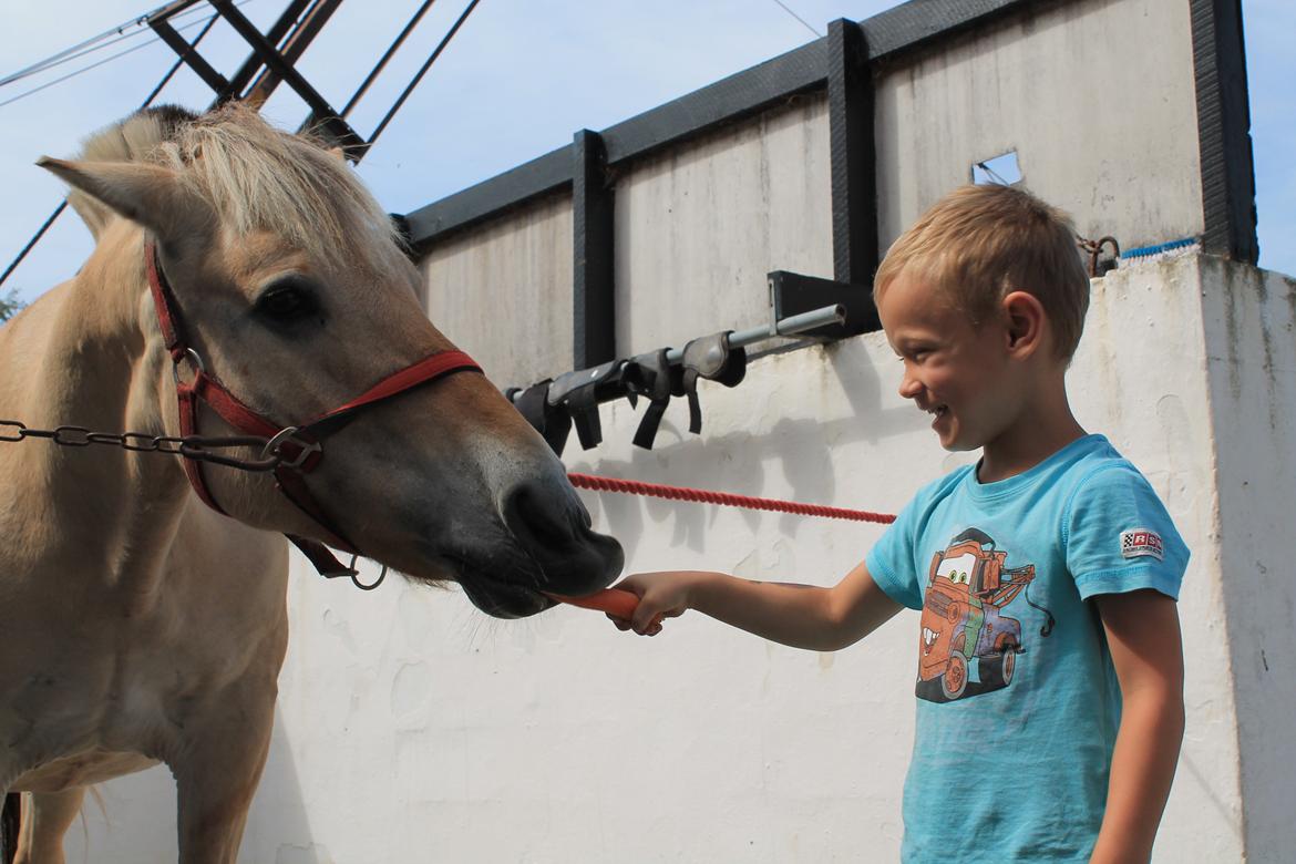 Billeder af personer  billede 5