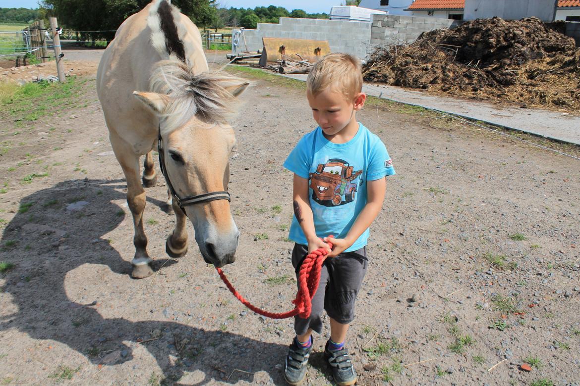 Billeder af personer  billede 6