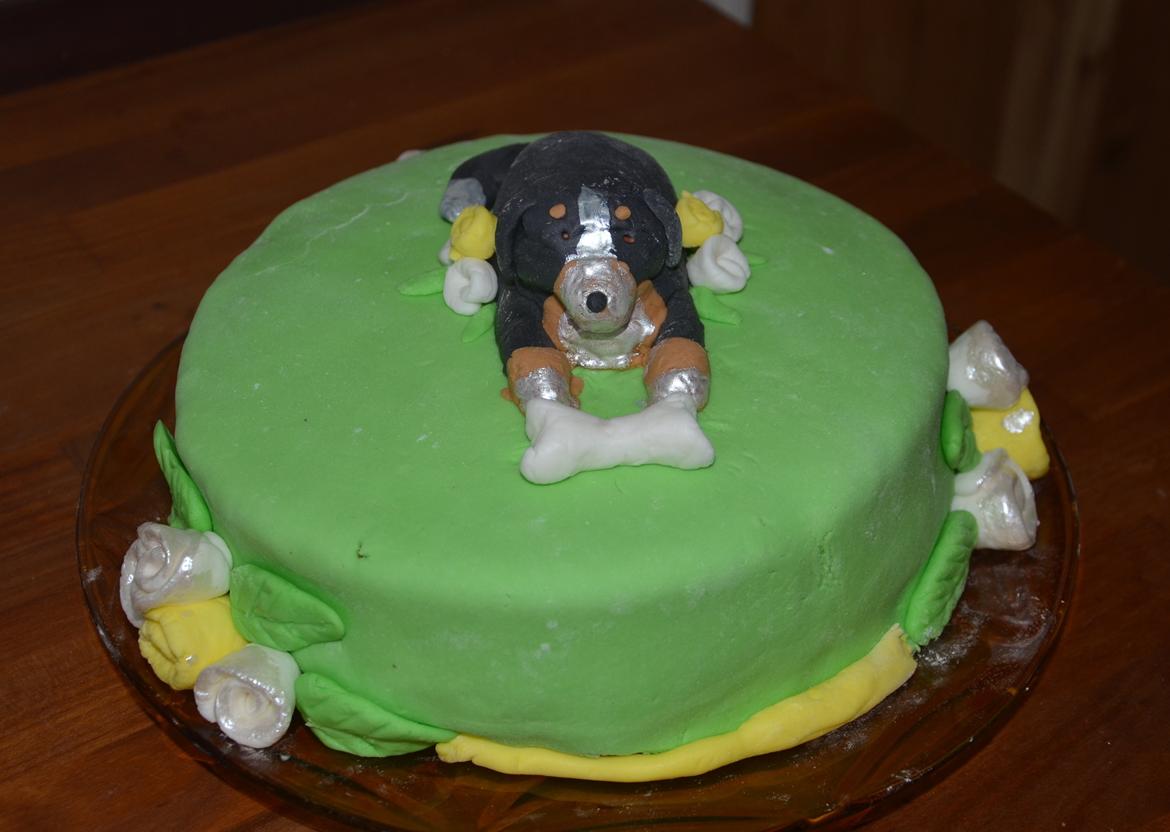 Kager - Fødselsdagskage (til de tobenede) til Basils og hans søskendes 1 års fødselsdag. billede 17