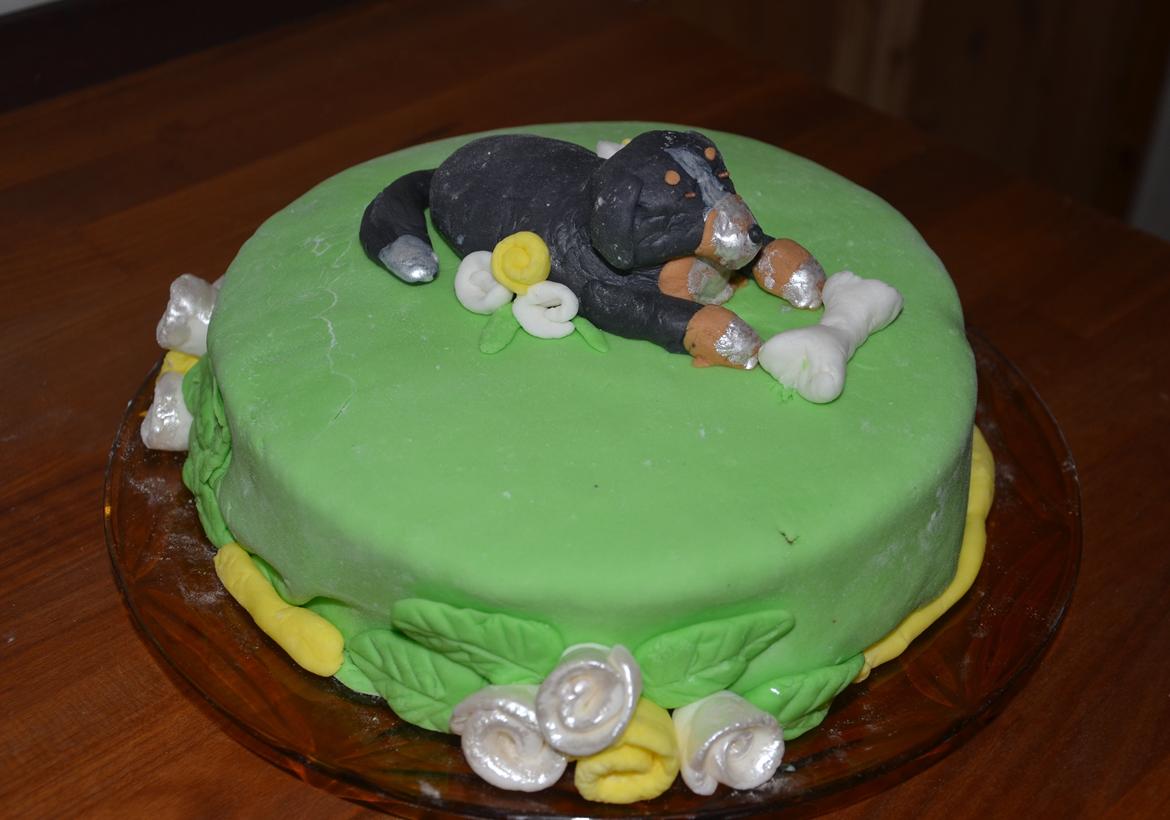 Kager - Fødselsdagskage (til de tobenede) til Basils og hans søskendes 1 års fødselsdag. billede 18