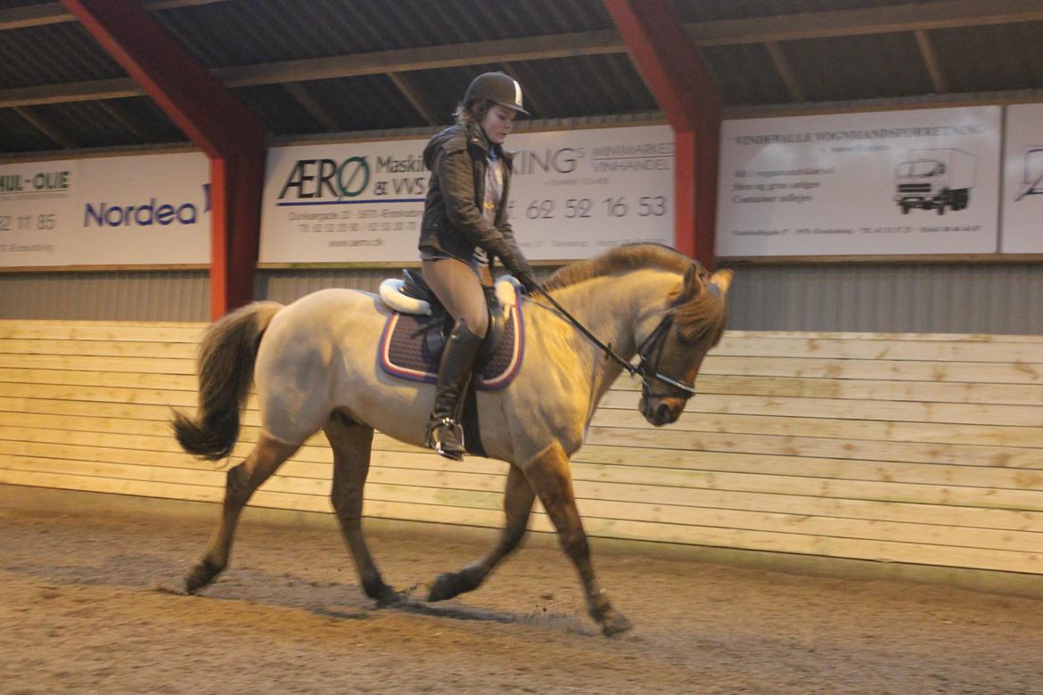 Dressur d. 5/1-13 billede 6