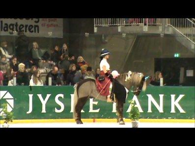 Istølt Silkeborg 2012 Ice Krystal billede 1