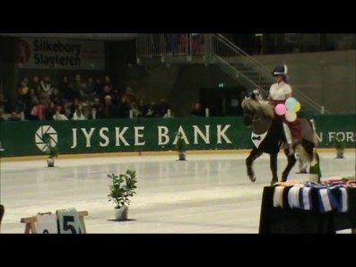 Istølt Silkeborg 2012 Ice Krystal billede 2