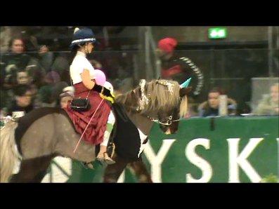 Istølt Silkeborg 2012 Ice Krystal billede 4