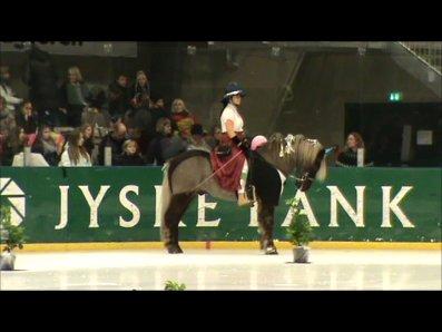 Istølt Silkeborg 2012 Ice Krystal billede 7