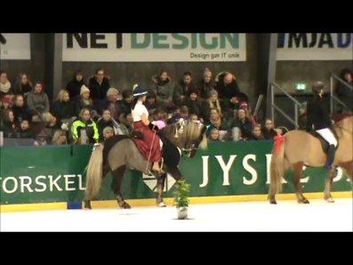 Istølt Silkeborg 2012 Ice Krystal billede 9