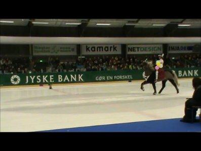 Istølt Silkeborg 2012 Ice Krystal billede 10