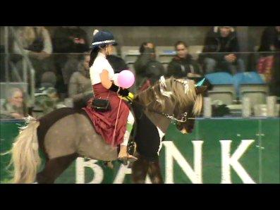 Istølt Silkeborg 2012 Ice Krystal billede 5