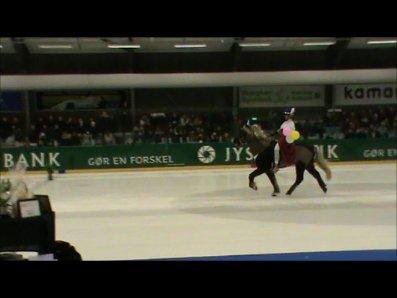 Istølt Silkeborg 2012 Ice Krystal billede 15