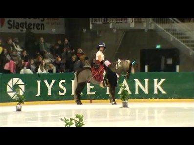 Istølt Silkeborg 2012 Ice Krystal billede 6