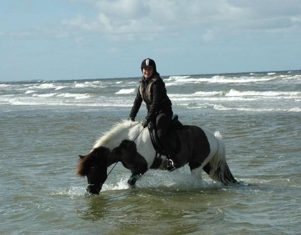 Mine 3 ismuler billede 2