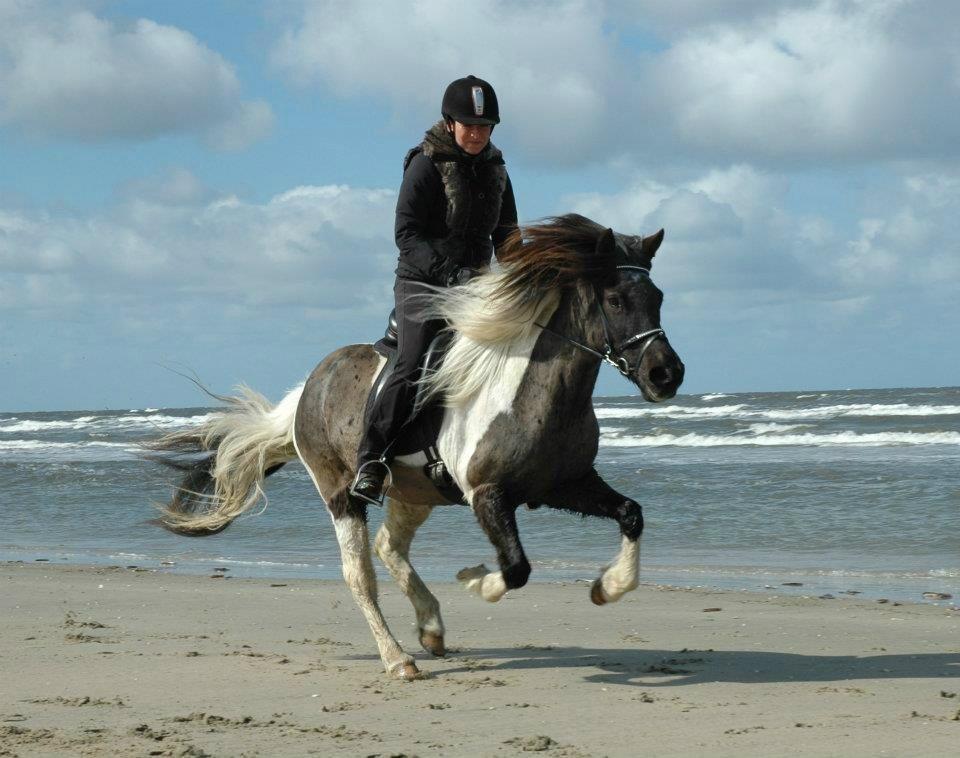 Mine 3 ismuler billede 3