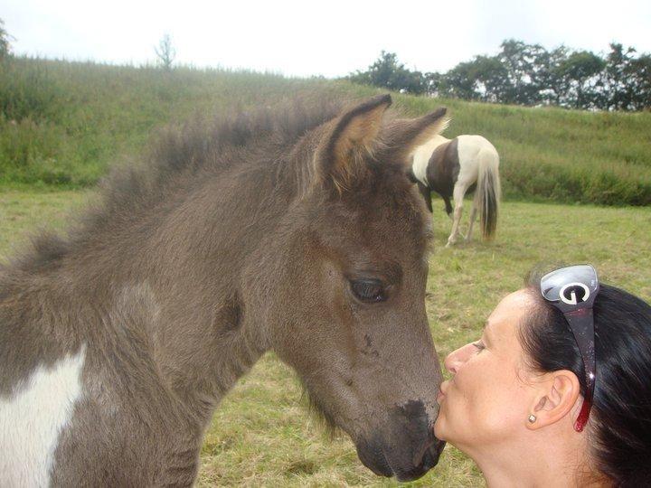 Mine 3 ismuler billede 7