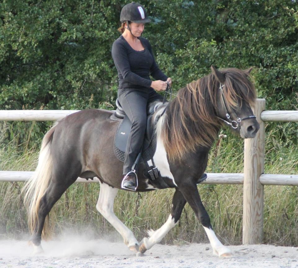 Mine 3 ismuler billede 13